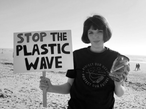 Make All Menstrual Products Plastic Free