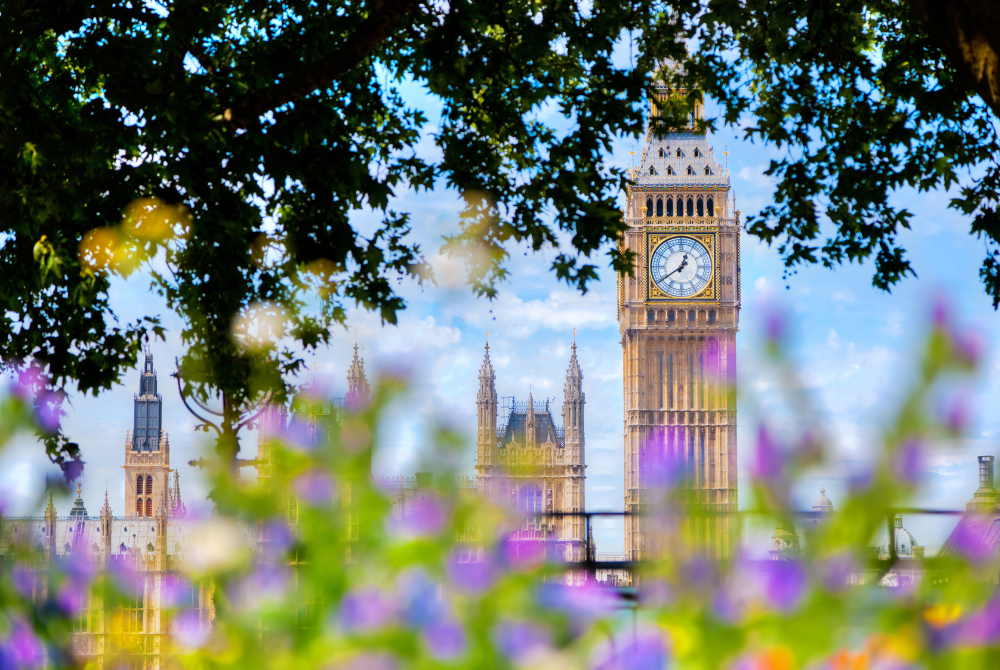 houses of parliament through trees and flowers