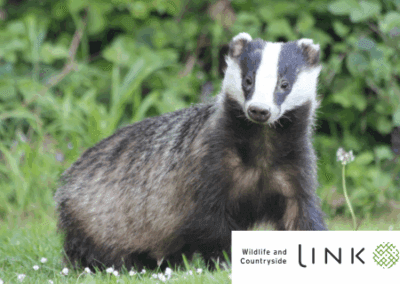 Head/Director of Campaigns and Media job at Wildlife and Countryside Link