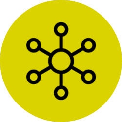 circle-icon-Reports-lime survey results